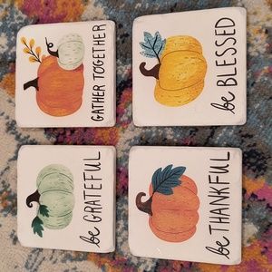 NIB Fall Coasters Pumpkin Harvest Autumn